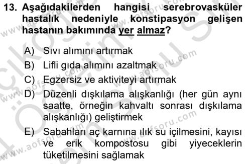 Yaşlılarda Görülebilecek Sorunlar Ve Bakım Hizmetleri Dersi 2023 - 2024 Yılı (Final) Dönem Sonu Sınavı 13. Soru