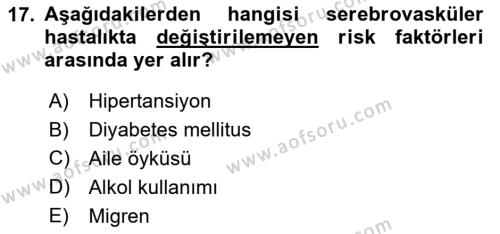 Yaşlılarda Görülebilecek Sorunlar Ve Bakım Hizmetleri Dersi 2023 - 2024 Yılı (Final) Dönem Sonu Sınavı 17. Soru