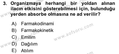 Yaşlılarda Görülebilecek Sorunlar Ve Bakım Hizmetleri Dersi 2023 - 2024 Yılı (Final) Dönem Sonu Sınavı 3. Soru