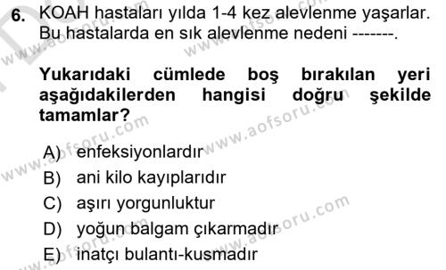 Yaşlılarda Görülebilecek Sorunlar Ve Bakım Hizmetleri Dersi 2023 - 2024 Yılı (Final) Dönem Sonu Sınavı 6. Soru