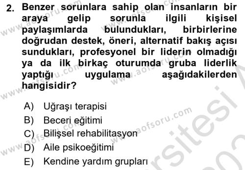 Psiko-Sosyal Rehabilitasyon Dersi 2023 - 2024 Yılı (Vize) Ara Sınavı 2. Soru