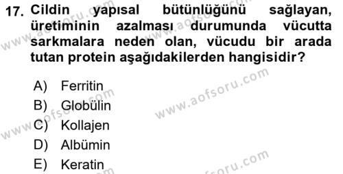 Yaşlı Psikolojisi Dersi 2019 - 2020 Yılı (Vize) Ara Sınavı 17. Soru