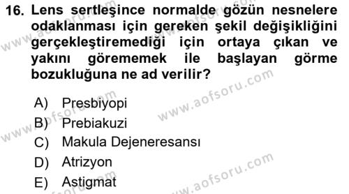 Yaşlı Psikolojisi Dersi 2021 - 2022 Yılı (Vize) Ara Sınavı 16. Soru