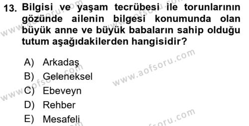 Yaşlı Psikolojisi Dersi 2021 - 2022 Yılı (Final) Dönem Sonu Sınavı 13. Soru