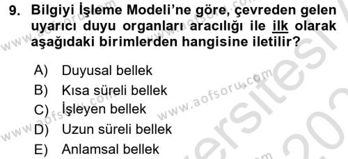 Yaşlı Psikolojisi Dersi 2022 - 2023 Yılı Yaz Okulu Sınavı 9. Soru