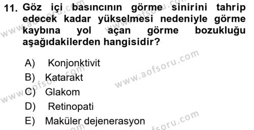 Yaşlı Psikolojisi Dersi 2023 - 2024 Yılı (Vize) Ara Sınavı 11. Soru