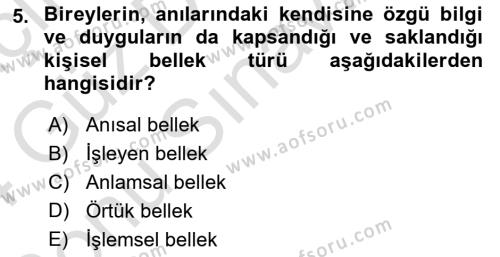 Yaşlı Psikolojisi Dersi 2023 - 2024 Yılı (Final) Dönem Sonu Sınavı 5. Soru