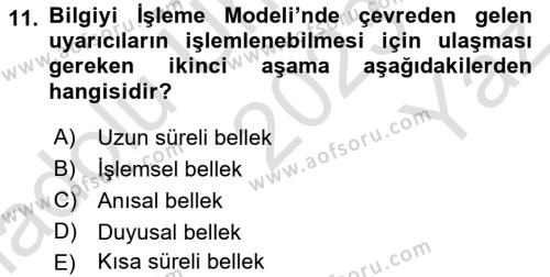 Yaşlı Psikolojisi Dersi 2023 - 2024 Yılı Yaz Okulu Sınavı 11. Soru