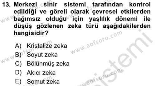 Yaşlı Psikolojisi Dersi 2023 - 2024 Yılı Yaz Okulu Sınavı 13. Soru