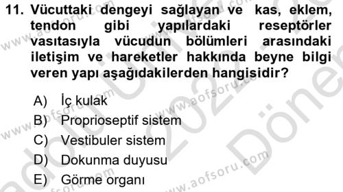 Fiziksel Rehabilitasyon Dersi 2022 - 2023 Yılı (Final) Dönem Sonu Sınavı 11. Soru