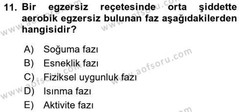 Fiziksel Rehabilitasyon Dersi 2022 - 2023 Yılı Yaz Okulu Sınavı 11. Soru