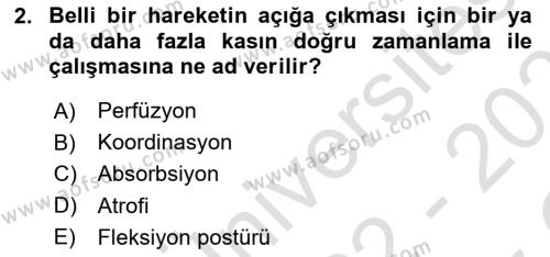 Fiziksel Rehabilitasyon Dersi 2022 - 2023 Yılı Yaz Okulu Sınavı 2. Soru