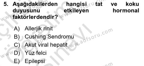 Fiziksel Rehabilitasyon Dersi 2022 - 2023 Yılı Yaz Okulu Sınavı 5. Soru