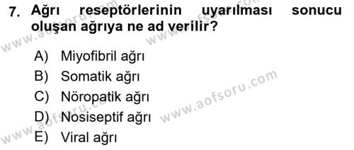 Fiziksel Rehabilitasyon Dersi 2022 - 2023 Yılı Yaz Okulu Sınavı 7. Soru