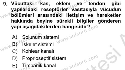 Fiziksel Rehabilitasyon Dersi 2023 - 2024 Yılı (Final) Dönem Sonu Sınavı 9. Soru