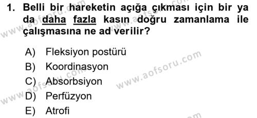 Fiziksel Rehabilitasyon Dersi 2023 - 2024 Yılı Yaz Okulu Sınavı 1. Soru