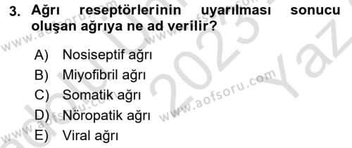 Fiziksel Rehabilitasyon Dersi 2023 - 2024 Yılı Yaz Okulu Sınavı 3. Soru