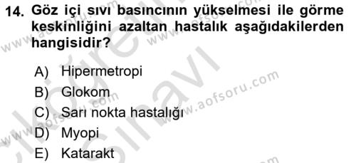 Temel Gerontoloji Dersi 2018 - 2019 Yılı 3 Ders Sınavı 14. Soru