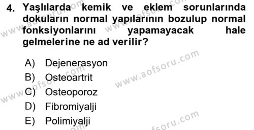 Temel Gerontoloji Dersi 2018 - 2019 Yılı 3 Ders Sınavı 4. Soru