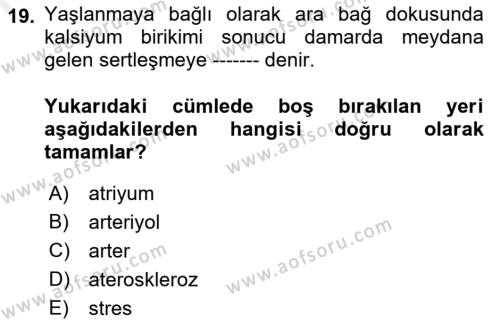 Temel Gerontoloji Dersi 2018 - 2019 Yılı (Vize) Ara Sınavı 19. Soru