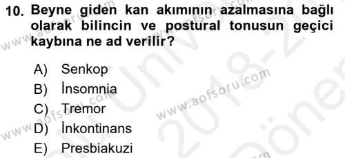 Temel Gerontoloji Dersi 2018 - 2019 Yılı (Final) Dönem Sonu Sınavı 10. Soru