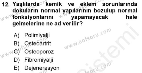 Temel Gerontoloji Dersi 2018 - 2019 Yılı (Final) Dönem Sonu Sınavı 12. Soru