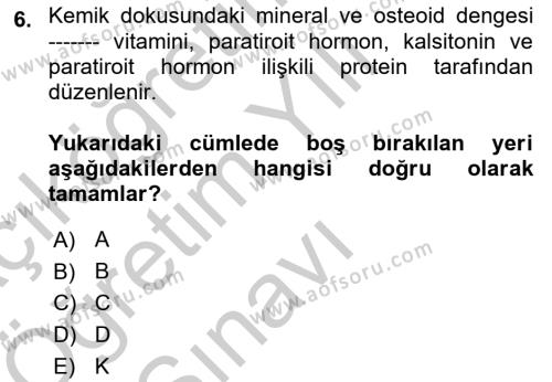 Temel Gerontoloji Dersi 2018 - 2019 Yılı Yaz Okulu Sınavı 6. Soru