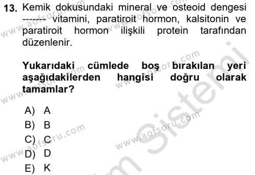 Temel Gerontoloji Dersi 2019 - 2020 Yılı (Vize) Ara Sınavı 13. Soru