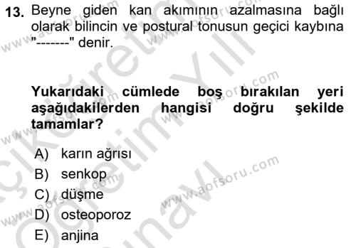 Temel Gerontoloji Dersi 2020 - 2021 Yılı Yaz Okulu Sınavı 13. Soru