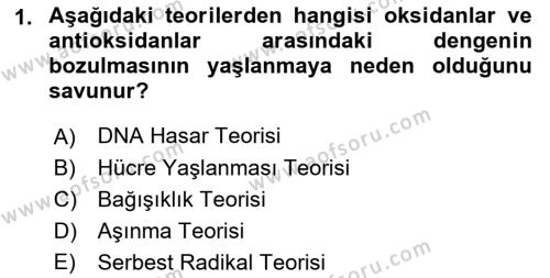 Temel Gerontoloji Dersi 2021 - 2022 Yılı (Vize) Ara Sınavı 1. Soru