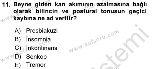 Temel Gerontoloji Dersi 2021 - 2022 Yılı (Final) Dönem Sonu Sınavı 11. Soru