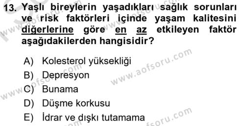 Temel Gerontoloji Dersi 2021 - 2022 Yılı (Final) Dönem Sonu Sınavı 13. Soru