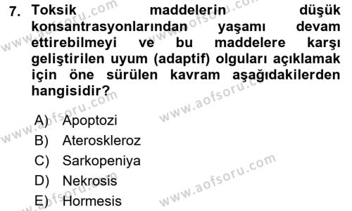 Temel Gerontoloji Dersi 2021 - 2022 Yılı (Final) Dönem Sonu Sınavı 7. Soru