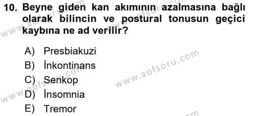 Temel Gerontoloji Dersi 2021 - 2022 Yılı Yaz Okulu Sınavı 10. Soru