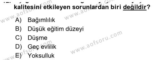 Temel Gerontoloji Dersi 2021 - 2022 Yılı Yaz Okulu Sınavı 12. Soru