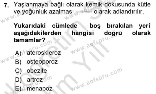 Temel Gerontoloji Dersi 2021 - 2022 Yılı Yaz Okulu Sınavı 7. Soru