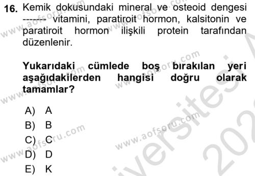 Temel Gerontoloji Dersi 2022 - 2023 Yılı (Vize) Ara Sınavı 16. Soru