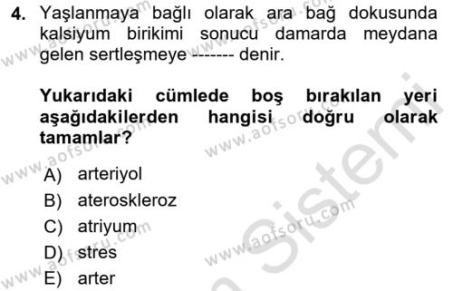 Temel Gerontoloji Dersi 2022 - 2023 Yılı (Final) Dönem Sonu Sınavı 4. Soru