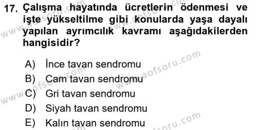 Temel Gerontoloji Dersi 2022 - 2023 Yılı Yaz Okulu Sınavı 17. Soru