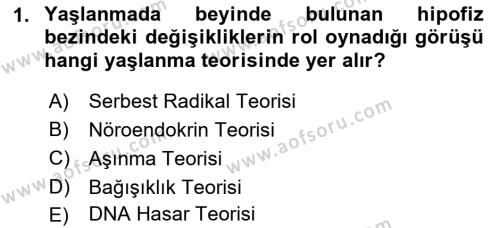 Temel Gerontoloji Dersi 2023 - 2024 Yılı (Vize) Ara Sınavı 1. Soru