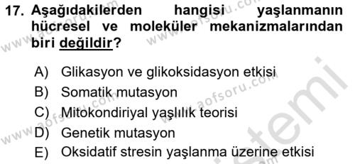 Temel Gerontoloji Dersi 2023 - 2024 Yılı (Vize) Ara Sınavı 17. Soru