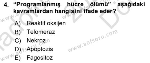 Temel Gerontoloji Dersi 2023 - 2024 Yılı (Final) Dönem Sonu Sınavı 4. Soru