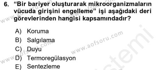 Yaşlı Bakımı İlke Ve Uygulamaları Dersi 2017 - 2018 Yılı 3 Ders Sınavı 6. Soru