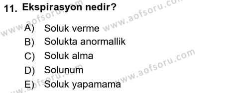 Yaşlı Bakımı İlke Ve Uygulamaları Dersi 2018 - 2019 Yılı 3 Ders Sınavı 11. Soru