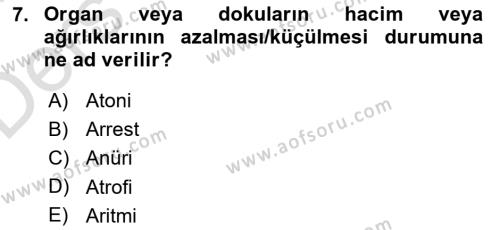 Yaşlı Bakımı İlke Ve Uygulamaları Dersi 2018 - 2019 Yılı 3 Ders Sınavı 7. Soru