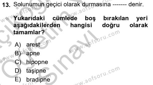 Yaşlı Bakımı İlke Ve Uygulamaları Dersi 2018 - 2019 Yılı Yaz Okulu Sınavı 13. Soru