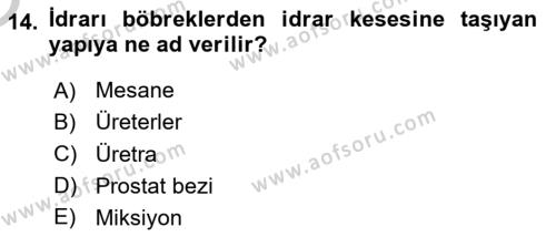 Yaşlı Bakımı İlke Ve Uygulamaları Dersi 2018 - 2019 Yılı Yaz Okulu Sınavı 14. Soru