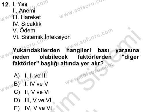 Yaşlı Bakımı İlke Ve Uygulamaları Dersi 2023 - 2024 Yılı (Vize) Ara Sınavı 12. Soru