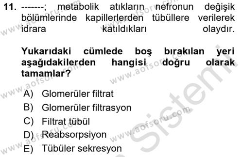 Yaşlı Bakımı İlke Ve Uygulamaları Dersi 2023 - 2024 Yılı (Final) Dönem Sonu Sınavı 11. Soru