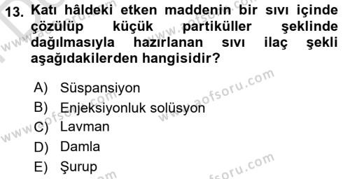 Yaşlı Bakımı İlke Ve Uygulamaları Dersi 2023 - 2024 Yılı (Final) Dönem Sonu Sınavı 13. Soru